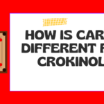 How is Carrom Different from Crokinole?