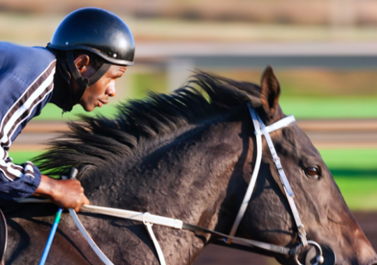 Get Ready to Place Your Bets! A Beginner’s Guide to Horse Racing Betting