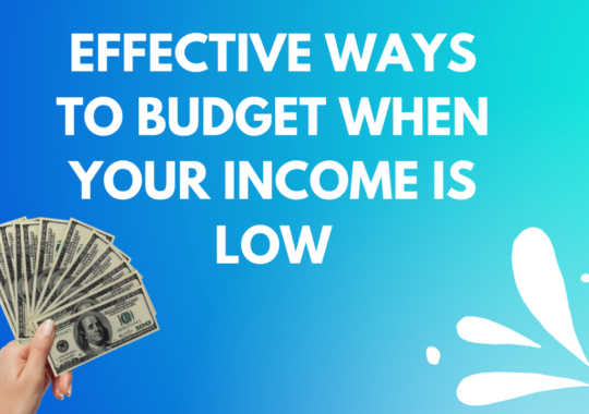 Effective Ways To Budget When Your Income Is Low