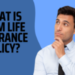 What is term life insurance policy?