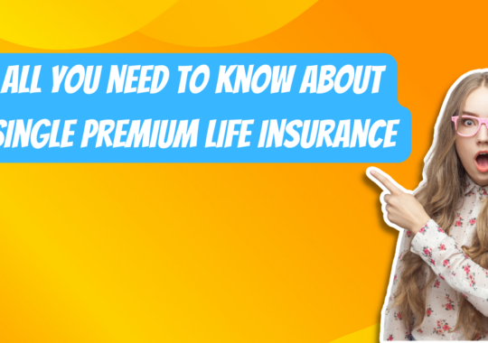 All you need to know about single premium life insurance