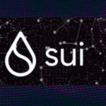 Sui Blockchain’s Innovation Ecosystem and Trailblazing Projects