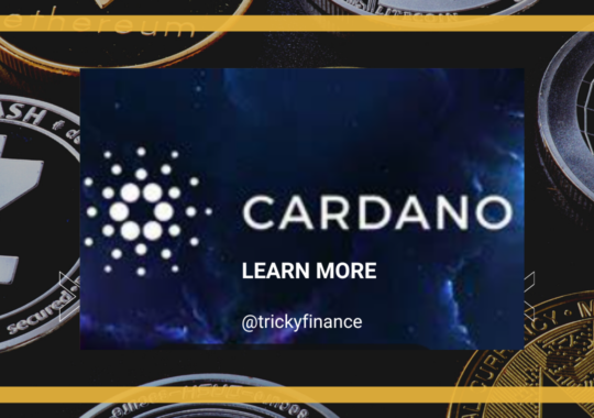 Exploring the Future: Projects Paving the Way in the Cardano Ecosystem