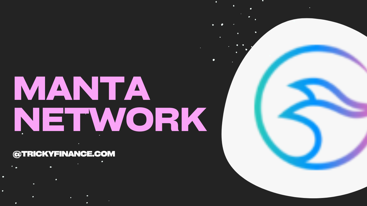 Exploring Manta Network: A Comprehensive Overview