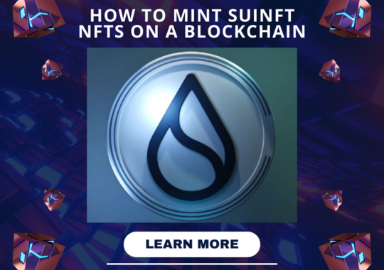 Learn more on How to Mint Suinft NFTs on a Blockchain