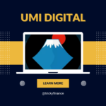 How to Get Started with UMI Digital Currency