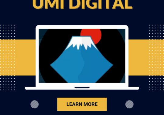 How to Get Started with UMI Digital Currency