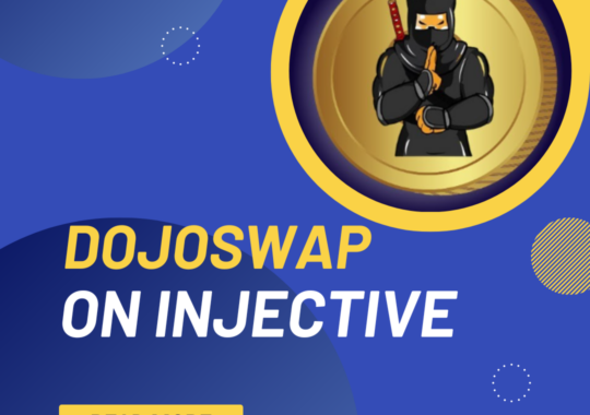 What is DojoSwap? Who can benefit from DojoSwap in 2024?