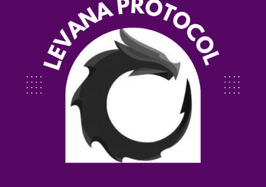 Levana Protocol: Secure Perpetual Swaps in the Cryptocurrency Landscape