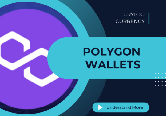 From Zengo to Exodus: Exploring the Best Polygon Wallets