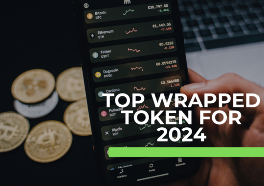 Wrapped tokens: Top 7 picks for 2024