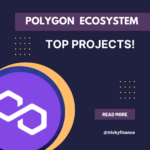 Learn All About the Projects on the Polygon Ecosystem