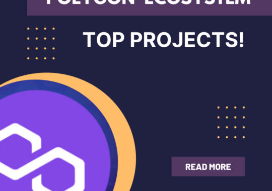 Learn All About the Projects on the Polygon Ecosystem