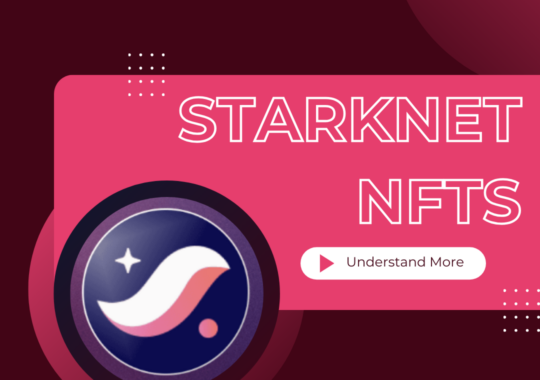 The top NFT projects on Starknet
